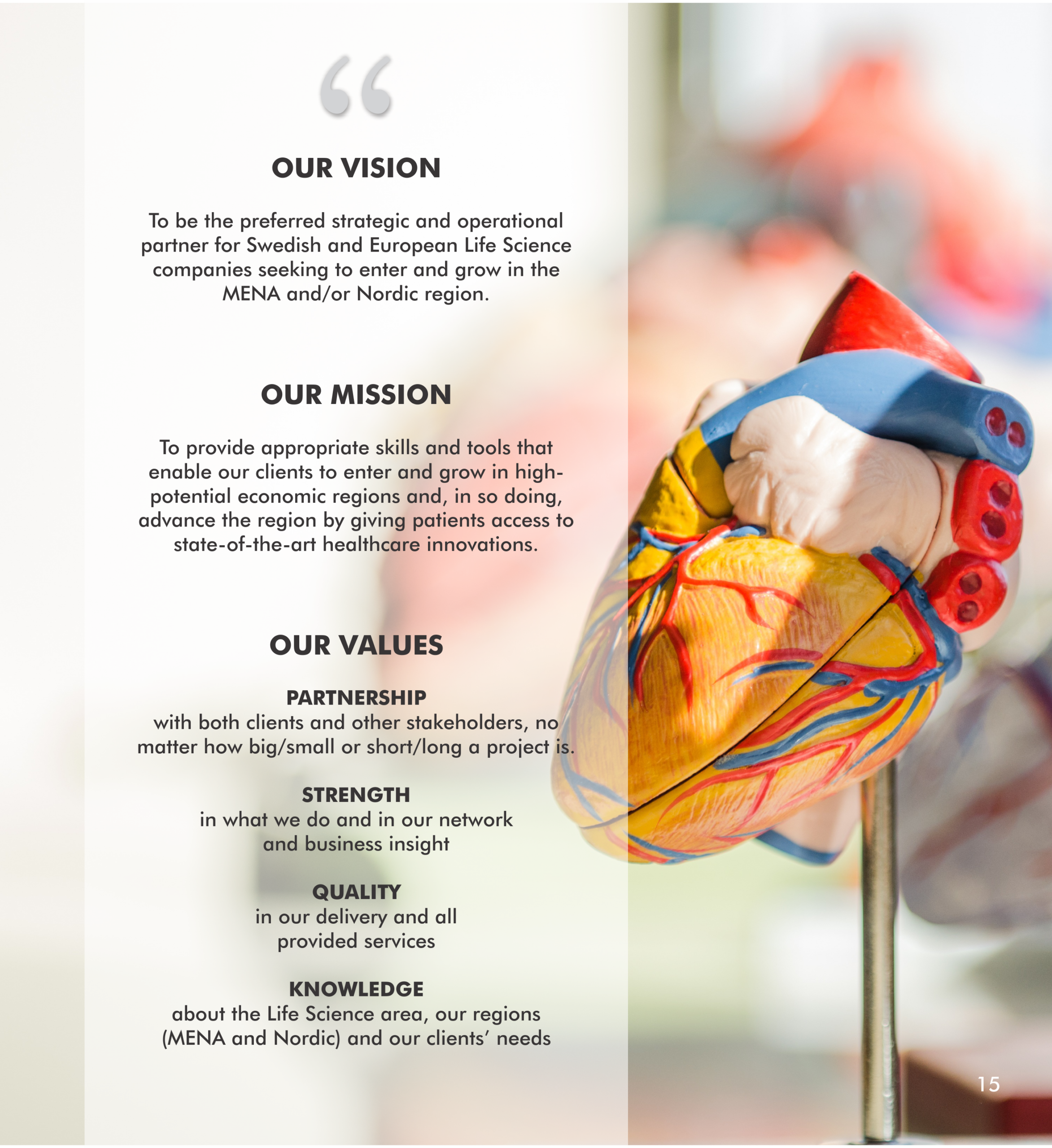 Global Pharma Consulting, brochure content