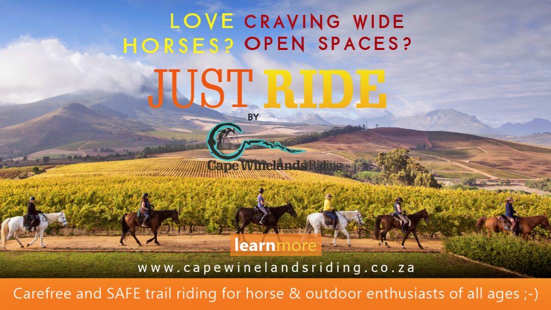 Cape Winelands Riding